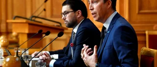 Sverigedemokraterna har ingen väg framåt
