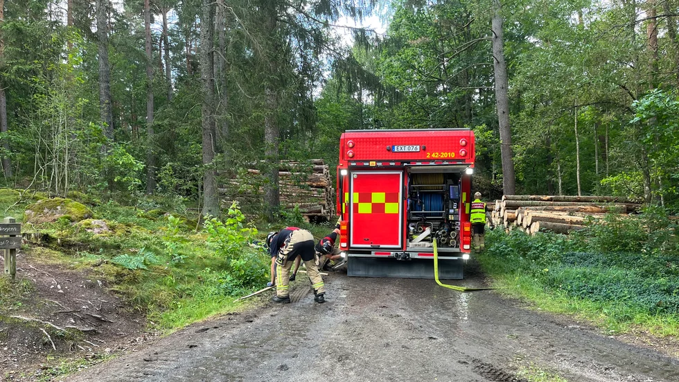 Det var vid en grillplats en bit in i skogen som det brann.