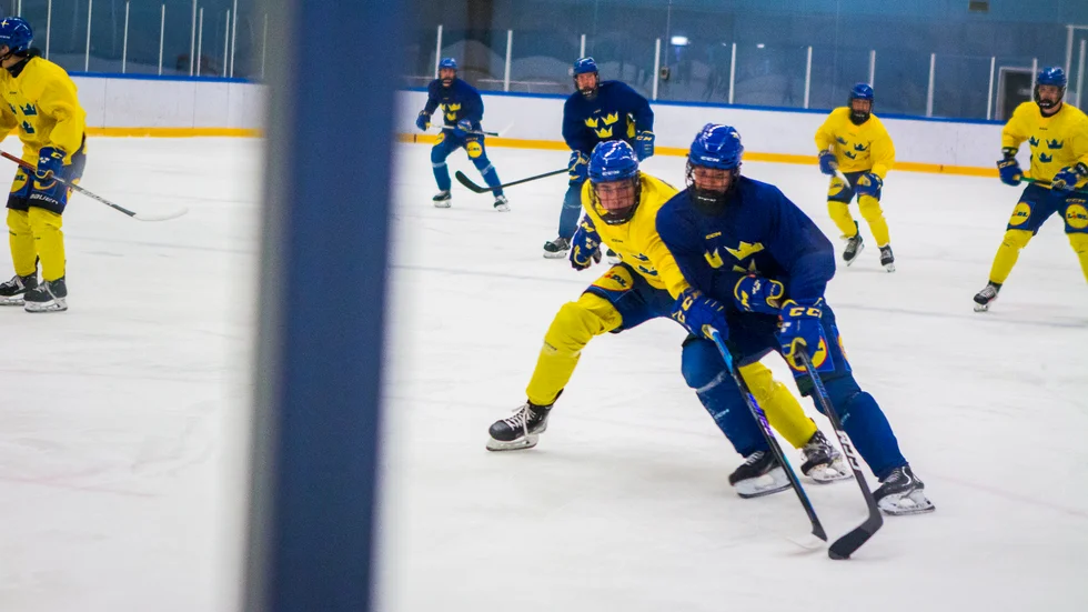 Småkronorna har träningsläger i Katrineholm i veckan. 
