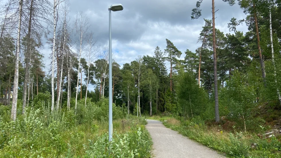 Polisens bedömer att kvinnan körde cirka 40 km/h i elljusspåret i Stavlund. Det innebär grov vårdslöshet i trafik och därmed väntar fängelsestraff.