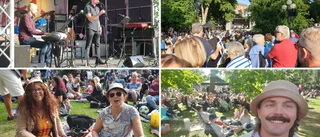 Så var sommarens sista Picnic i Parken – se bilderna