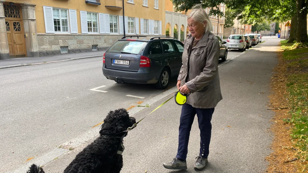 "Det är hemskt när det händer överallt", säger Catharina Ferlin, som var ute i området med hunden Pilo bara ett par timmar före polisen tillkallades.