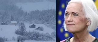 Hälften av landets läkare bor i tolv kommuner