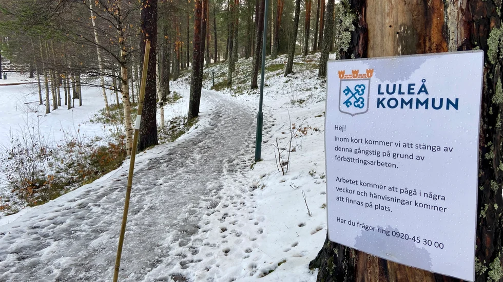 Gångvägen runt Gültzauudden behöver jämnas ut och breddas för att snöröjningen kan skötas på ett säkert sätt. 