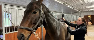 Lisa, 23, har fullt upp med alla satsningar