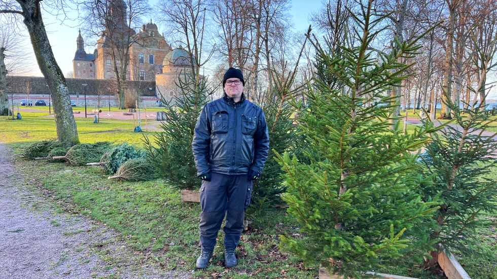Granförsäljaren Johan Fransson, beskriver att granen gärna kan vila några dagar i ett garage om det är kallt ute, innan man tar in den i rumstemperatur. "Granen kan få en chock om den kommer in från många minus till inomhustemperatur, men just nu är det inte så viktigt eftersom granen inte är frusen och det är varmare ute".