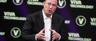 Sympatiåtgärder viktiga för att kunna påverka en jätte som Tesla