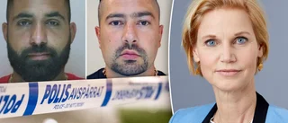 Specialåklagare sätts in för att bekämpa gängvåldet