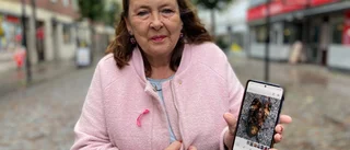 Monika höll på att trampa på spektakulär fjäril