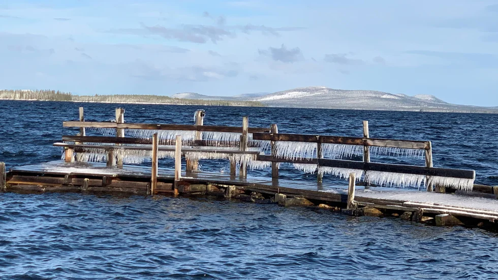 Dagens läsarbild.
