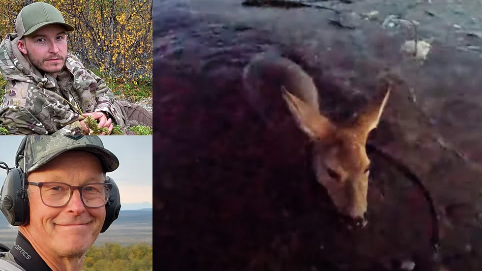 Jacob Lahti och Rolf Lahti rädde ett rådjur ur en isvak i Kukkola, Haparanda.