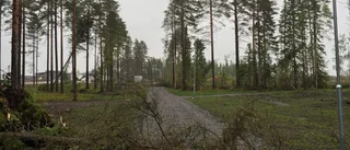 Se läsarnas egna bilder från onsdagens storm