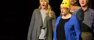 Allvar och clowneri i årets Gotlandsrevy