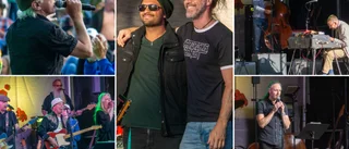 Arrangören om Picnic i parken: "Vi håller på tills vi dör"