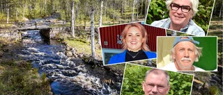 Grått och regnigt – här har du tips på smultronställen