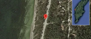 Får på vägen på väg 140