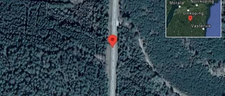 Fallna träd skapar problem i trafiken