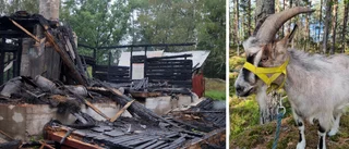 Djur brändes inne i nattens brand: "Måste varit åskan"