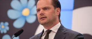 Adam Marttinen (SD): Elias Nyqvist duckar i sakfrågan