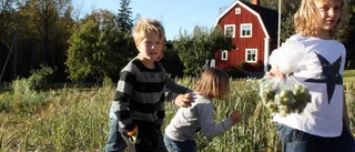 Barn som hjälper barn