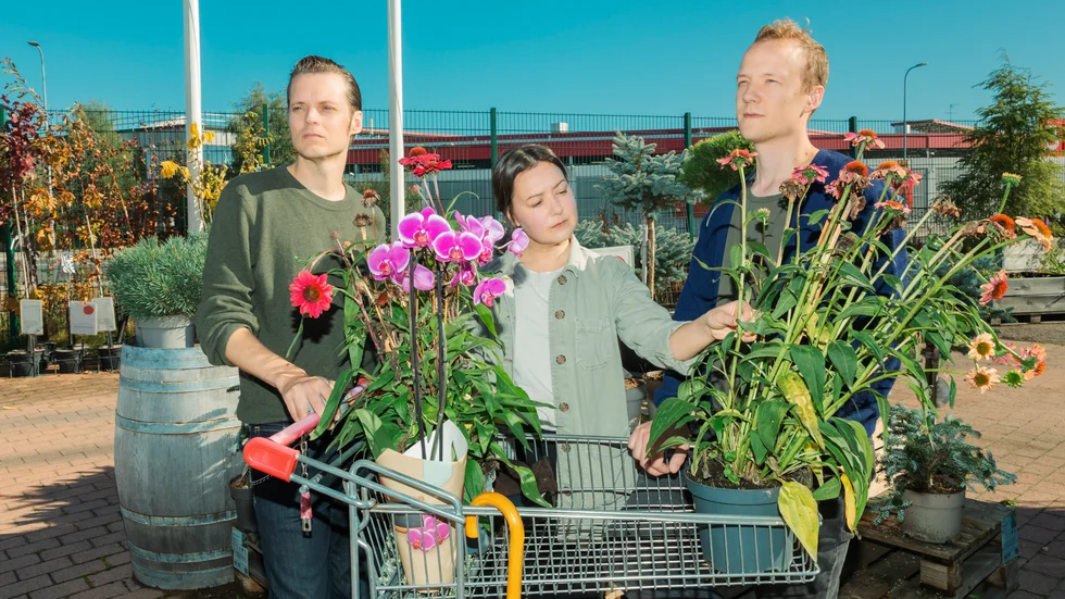 Vasas flora och fauna.
