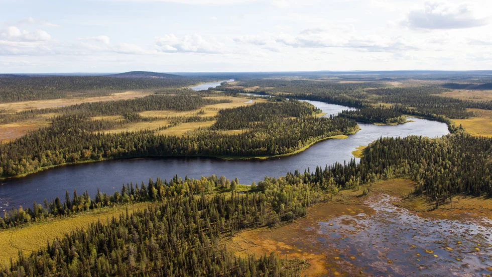 Redan under 90-talet inventerades våtmarkerna runt Temminki och Markkatieva. Området har sanddyner vilket är väldigt ovanligt.