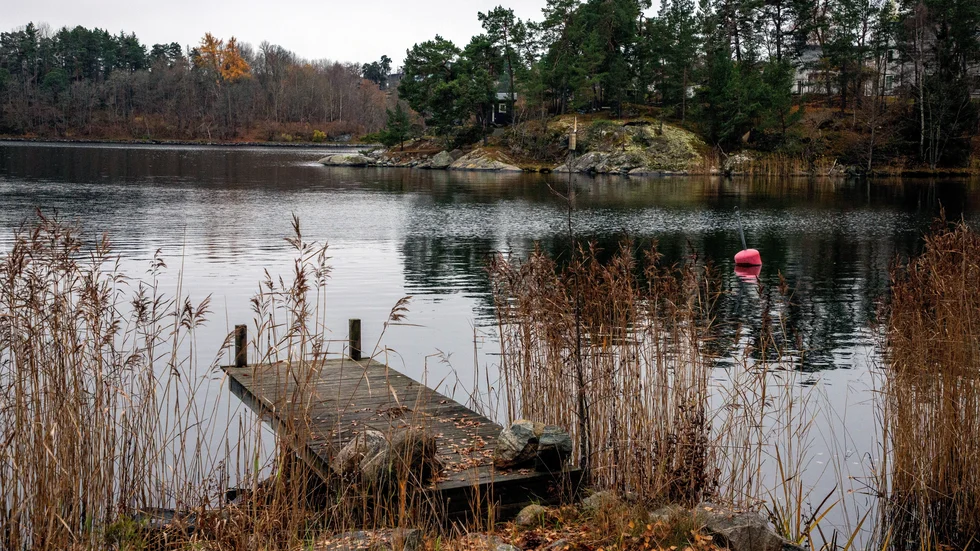 En strandtomt har många fördelar, men strandskyddet hör inte till dem.