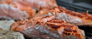 Läckra fiskar från grillen att äta i sommar