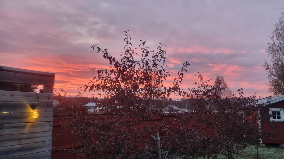 Dagens läsarbild.