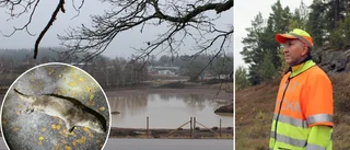 Utter hittad död i Gamleby: "Man ser fler och fler"