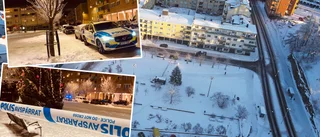 22-åring gick till knivattack – döms till livstid