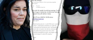 Dumpen och nya pedofiljägarna i mejlbråk – fördömer varandra