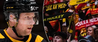 AIK-backens oväntade hyllning: "Deras publik är bäst i landet"