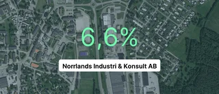 Nikab hade största omsättningen i fjol