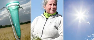 Sol och regn – allt kom vid fel tidpunkt