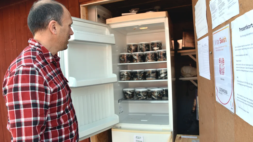 "Det var och är självklart att butiken också ska finnas i Storön, jag vill ha den så nära fisket och produktionen som möjligt", säger Roland Stenman.