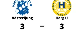 Oavgjort möte mellan Västerljung och Harg U