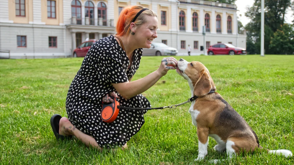 Isabella Wärn och hennes familj bor utanför Vingåker. Deras beagle Benny har gjort succé på sociala medier tack vare sin härliga personlighet.