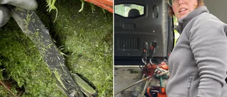 Stenskottet som ledde till stort polispådrag – detta hände