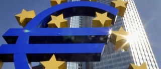 Vi vill vara med i valutaunionen helhjärtat