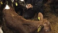 Foto: HANS BRANDIN
Lantbrukarna i Västerviks kommun har tagit sitt ansvar fullt ut i den här frågan, säger Håkan Lundgren, Gamleby, ordförande i LRF:s kommunorganisation. Taxan har just höjts och vi kan inte betala mer, vi betalar vad det kostar för vårt vidkommande.