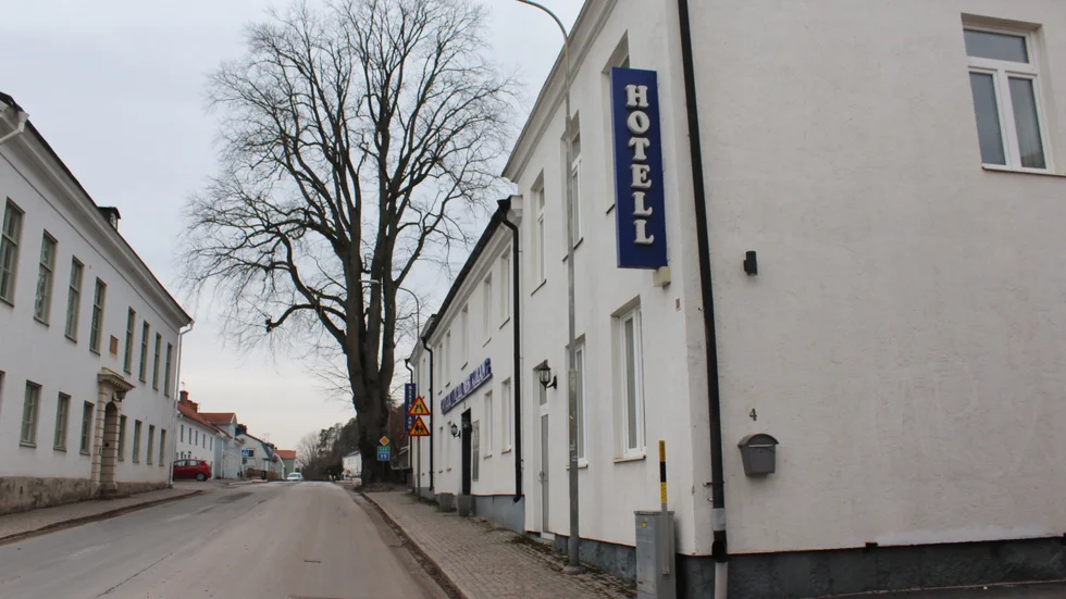 Här bortom Gamleby hotell står ett träd som inte mår särskilt bra. Om det är precis det träd som är på bild har vi inte fått bekräftat, men med tanke på vilka andra träd som finns mellan hotellet och friskolan är det sannolikt detta.