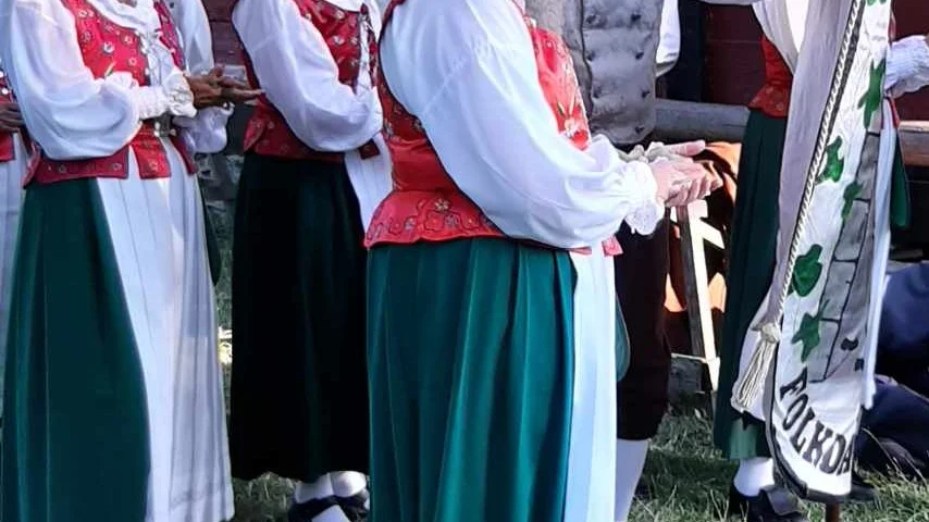 Några av deltagarna i Visby Folkdansgille