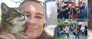 Efter stroke och konkurs – Lottas kök har återuppstått