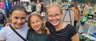 Hertsödag lockar upp mot 10 000 besökare: "Sålt mycket"