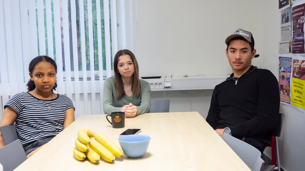 Bersabeh Aron, Yasmin Kaanan och Sam Wallsten