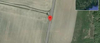 Fallna träd skapar problem i trafiken på väg 873