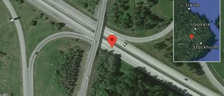 Häst på vägen på E18
