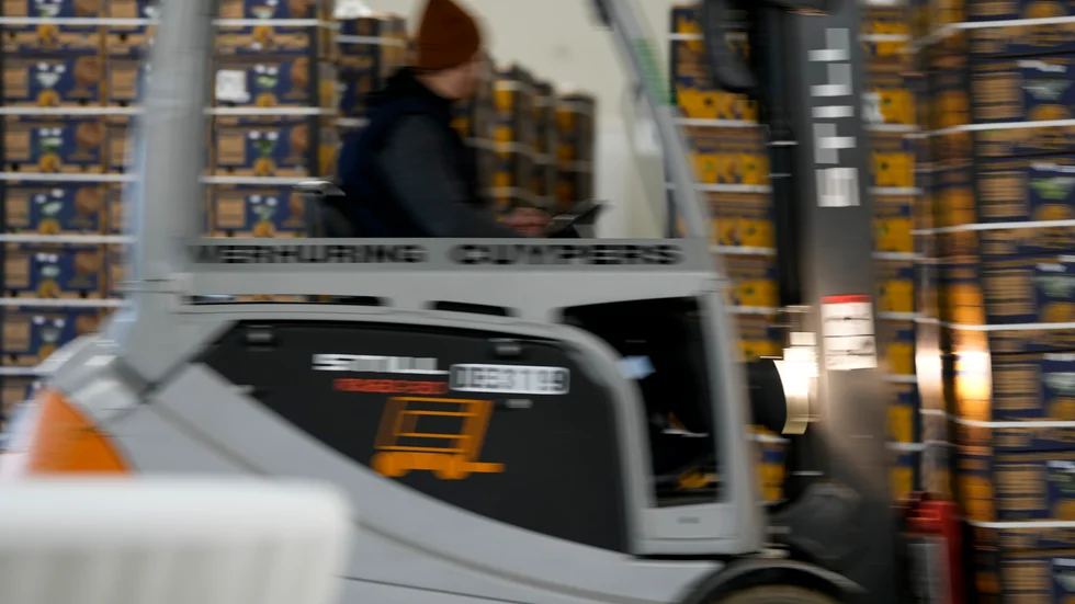 Kokainet fanns gömt bland bananlådor i en kylcontainer. Arkivbild.