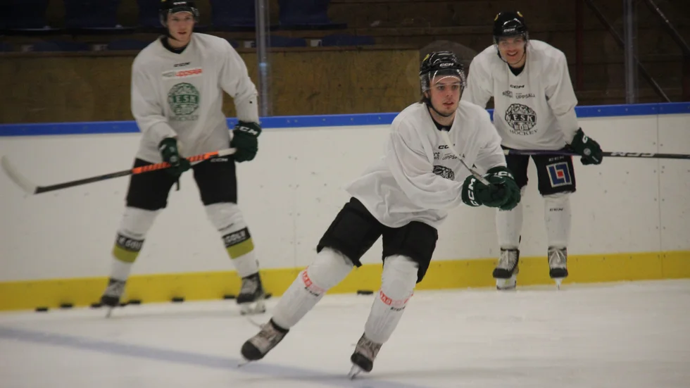 19-årge Leo Krantz har potential att bli en stark poängplockare i ESK. 